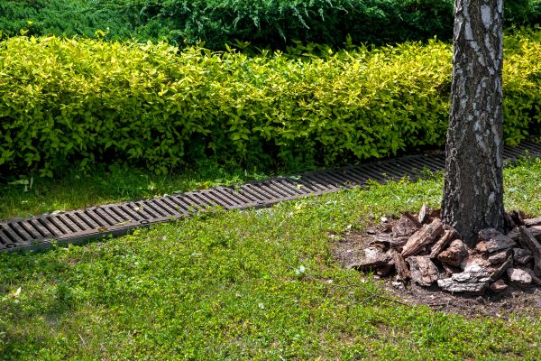 Cost of Residential Landscape Drainage in Cuyahoga Falls